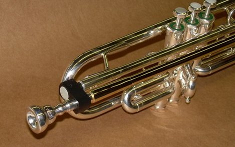guppy47a